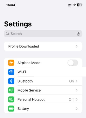 Apple iOS Settings screen showing the Profile Downloaded option highlighted near the top of the menu