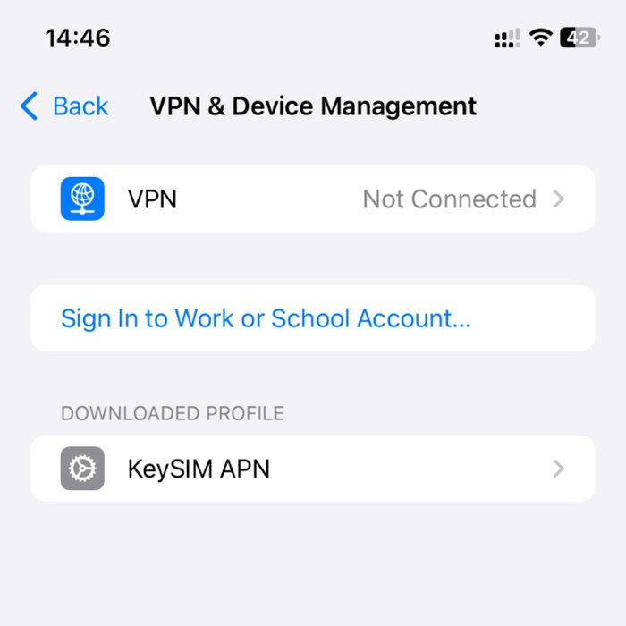 Apple iOS VPN and Device Management screen showing the KeySIM APN profile listed under Downloaded Profile
