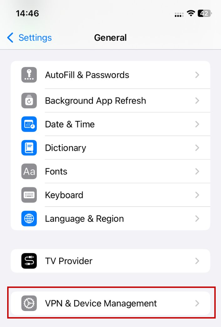 Apple iOS General settings screen showing VPN and Device Management option near the bottom of the list